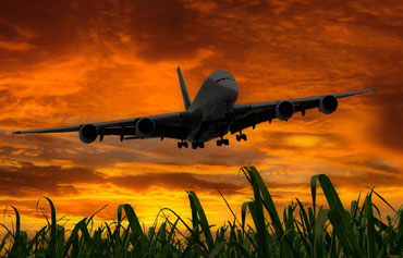 Laborum porro voluptas sit